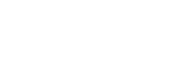 Wellmaster logo in white
