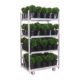 Cart with shrubs