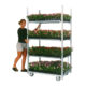 Cart Loaded with flowers