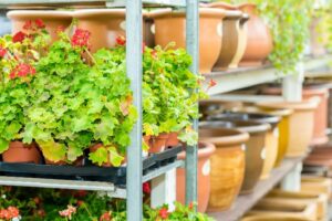 How Wellmaster Works with Greenhouses, Garden Centers and Nurseries of all Sizes