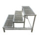 3Stp36Sq_003-1.jpg